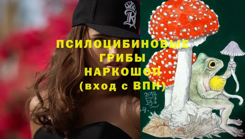 Псилоцибиновые грибы Psilocybe  hydra как войти  Верхняя Салда 